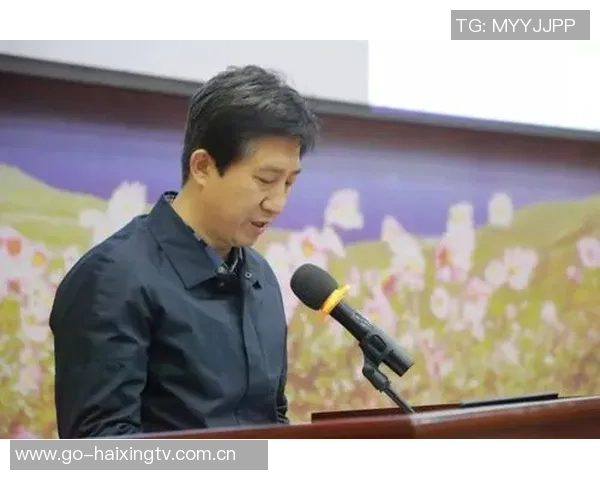 陈磊谈乒乓球生涯与成长历程的深刻反思与未来展望